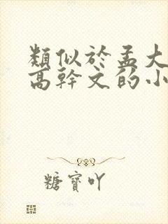 类似于孟大小姐高干文的小说