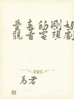 爱来的刚好免费观看电视剧全集