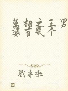 万相之王男主老婆有几个