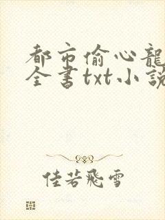 都市偷心龙爪手全书txt小说下载