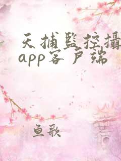 天捕监控摄像头app客户端