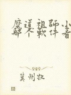 魔道祖师小说在哪个软件看