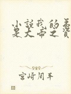 小说我的弟子全是大帝之资免费完本