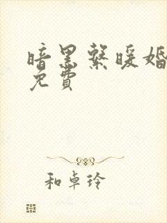 暗黑系暖婚全文免费