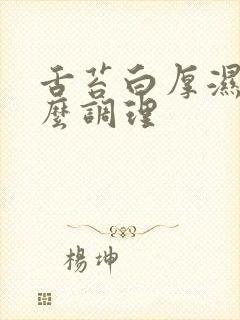 舌苔白厚湿热怎么调理