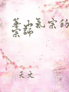 华山气宗的形意宗师