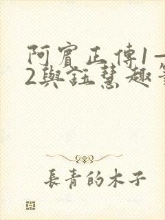 阿宾正传1—72与钰慧趣笔阁