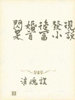 闪婚后发现老公是首富小说完整