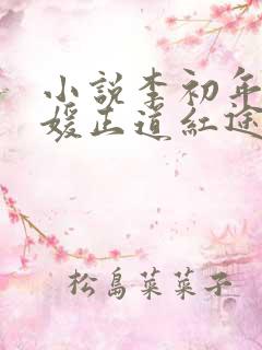 小说李初年童肖媛正道红途