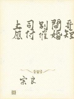 上司别闹哥只想应付催婚短剧免费观看