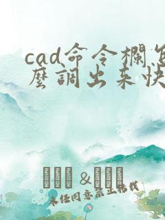 cad命令栏怎么调出来快捷键