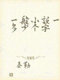 一般小说一章有多少个字