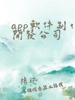 app软件制作开发公司