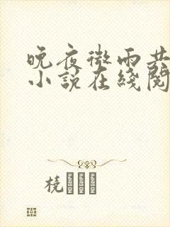 晚夜微雨共归途小说在线阅读