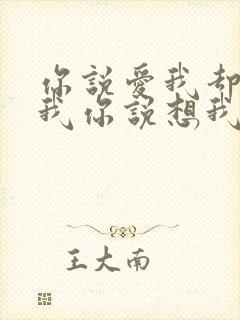 你说爱我却不陪我你说想我却不见我是什么歌