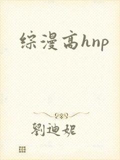 综漫高hnp