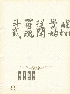 斗罗从觉醒朱雀武魂开始txt下载