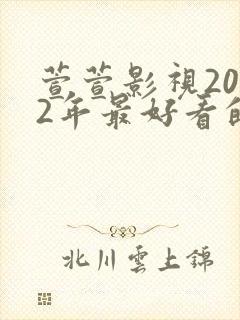 萱萱影视2022年最好看的电视剧