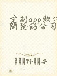 定制app软件开发的公司