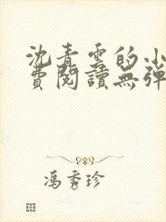 沈青云的小说免费阅读无弹窗