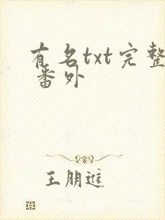 有名txt完整 番外