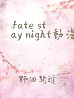 fate stay night动漫第一季在线观看