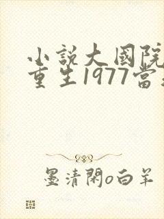 小说大国院士:重生1977当知青