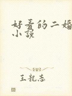 好看的二婚言情小说