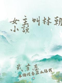 女主叫林朝夕的小说