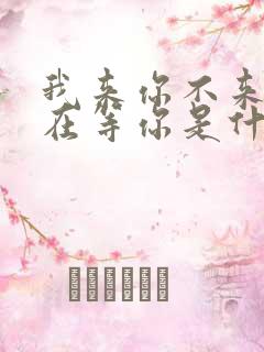 我来你不来我都在等你是什么歌