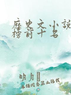 历史文小说排行榜前十名