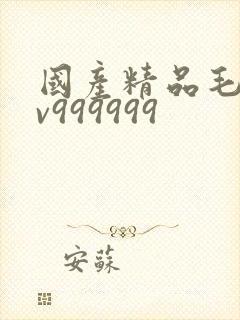 国产精品毛片av999999