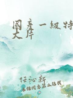 国产一级特黄a大片