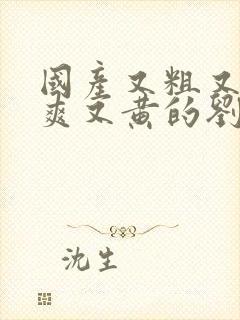 国产又粗又猛又爽又黄的刘涛视频