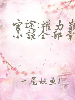 官途:权力巅峰小说全部章节