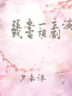 张鲁一主演的谍战电视剧