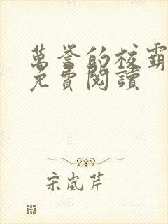 万誉的校霸小说免费阅读