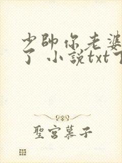 少帅你老婆又跑了 小说txt下载