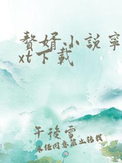 赘婿小说宁毅txt下载