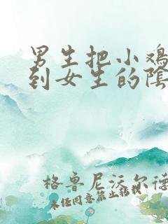 男生把小鸡鸡插到女生的阴道里