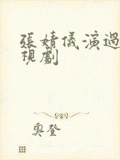 张婧仪演过的电视剧