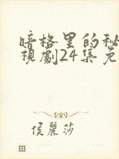 暗格里的秘密电视剧24集免费观看