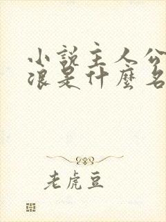 小说主人公叫沈浪是什么名字小说