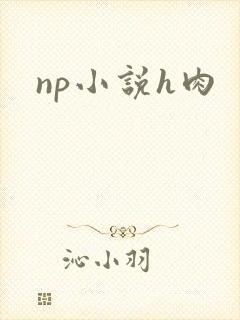 np小说h肉