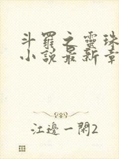 斗罗之灵珠神剑小说最新章节下载