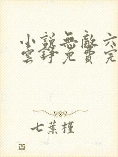 小说无敌六皇子云铮免费完本