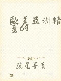 欧美亚洲精品国产69