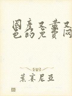 国产又黄又猛又色的免费网站