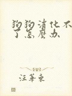 狗狗消化不好吐了怎么办