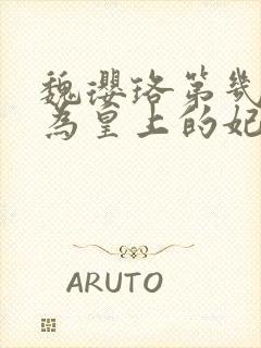 魏璎珞第几集成为皇上的妃子